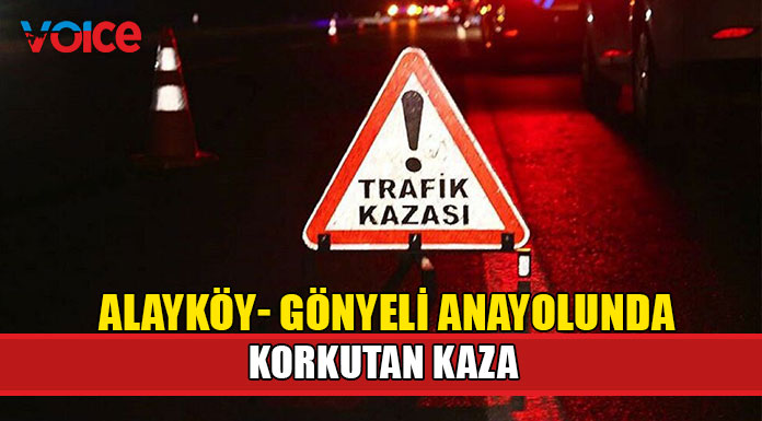 Ağaca çarpan araç alev aldı!