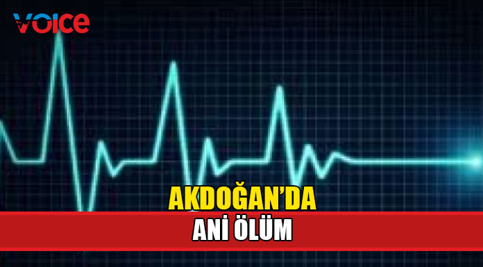 Birsen Özlüoğlu hayatını kaybetti!