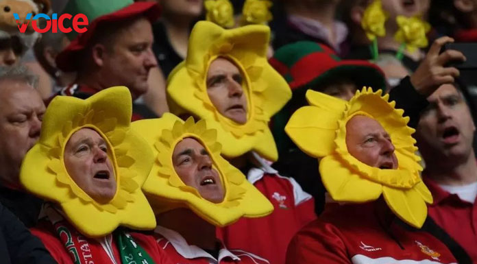 Delilah banned for choirs at Principality Stadium