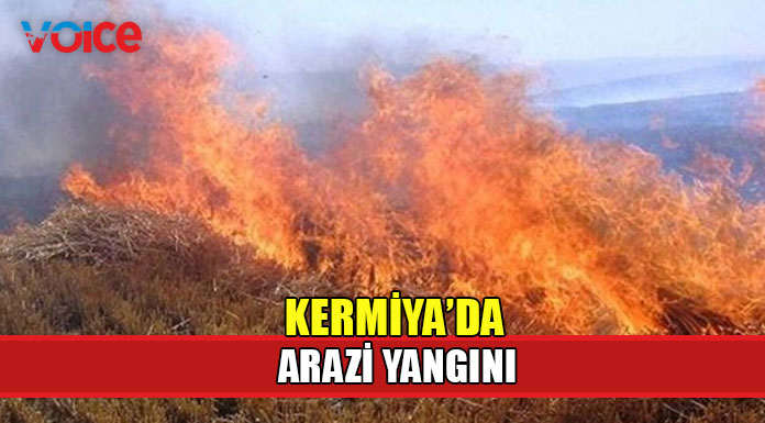 Yangın sonucu bir dönümlük alan yandı