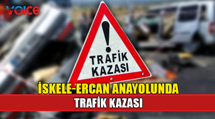 Yoldan çıkan araç, ağaca çarparak durabildi!