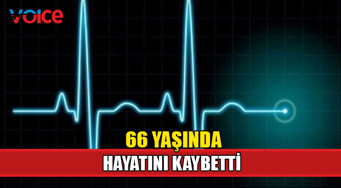 Demirhan'da ani ölüm!