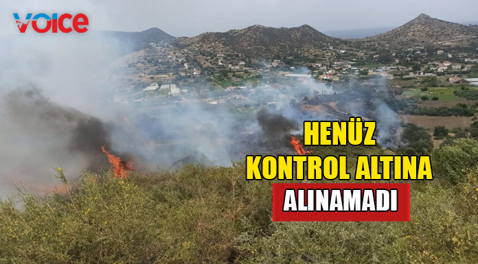 Yeşilırmak'ta yangın!