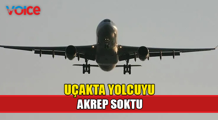 Uçakta kadını akrep soktu
