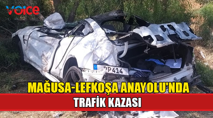 Yoldan çıkarak ağaçlara çarptı