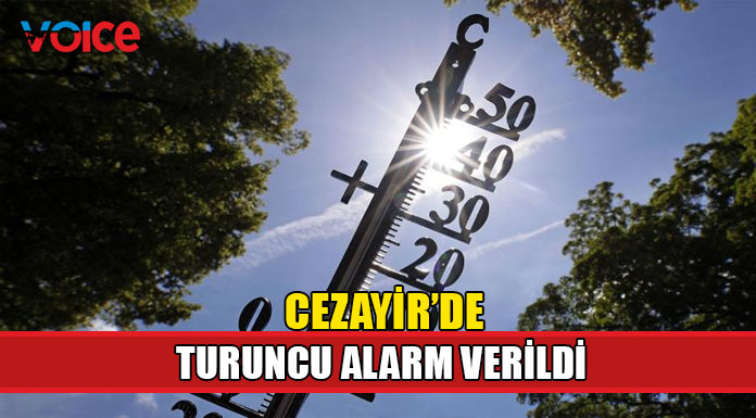 Cezayir'de rekor hava sıcaklığı