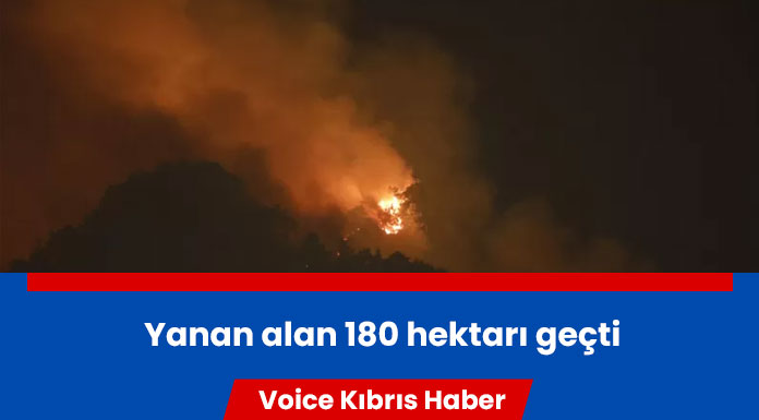 Antalya Kemer'deki orman yangınına müdahale devam ediyor