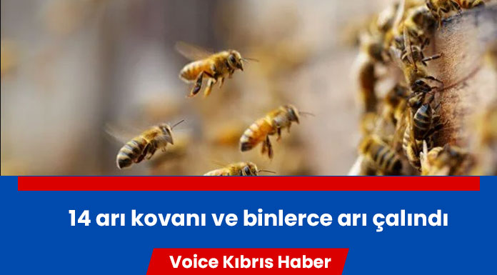 Galler'de binlerce arı kovanlarıyla birlikte çalındı