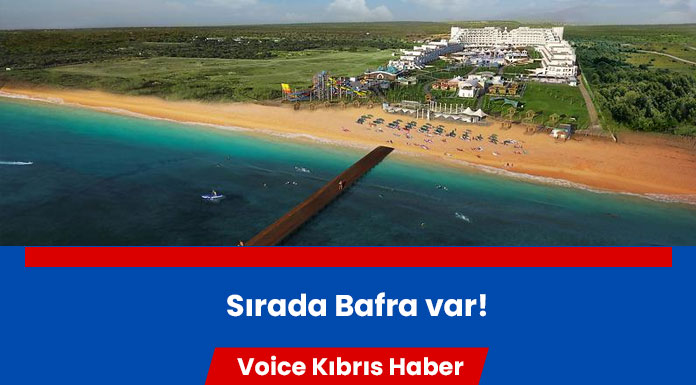 Orman arazileri tehlikede