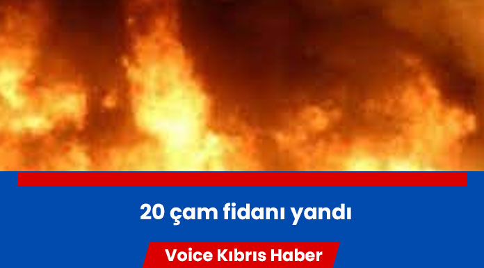 Akıncılar’da yangın