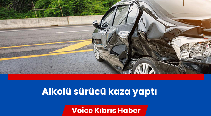 Yoldan çıkan sürücü telefon direğine çarpıp devrildi!