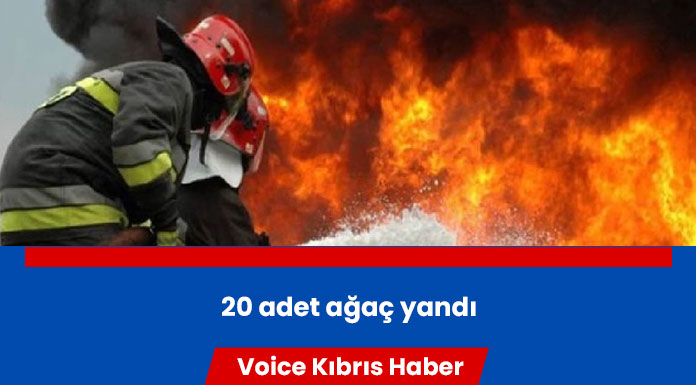 Göçeri'de yangın!