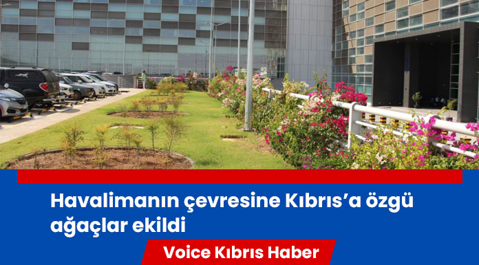 Ercan Havalimanı doğanın renklerine büründü