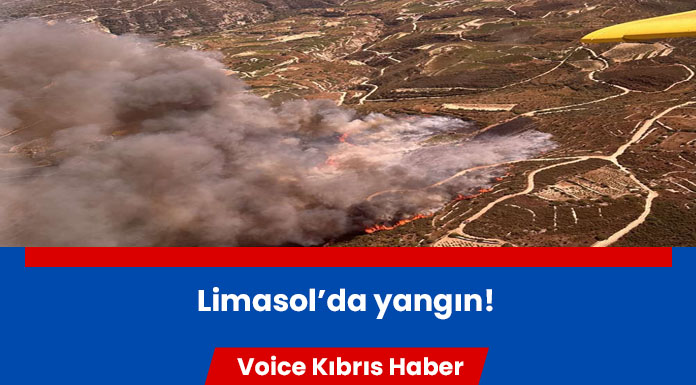 Yangına havadan ve karadan müdahale ediliyor