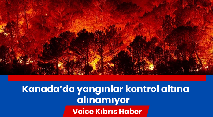 Yangınlar nedeniyle 232 bin kişi tahliye edildi