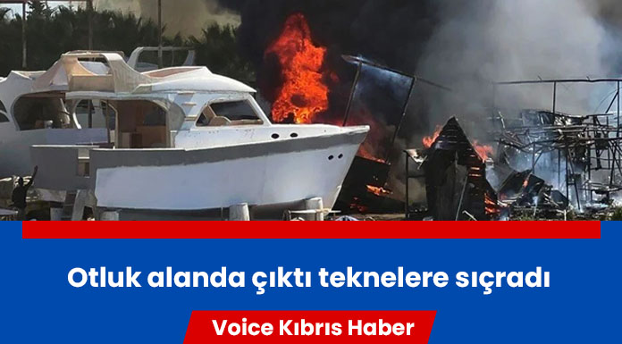 Antalya'da orman yangını