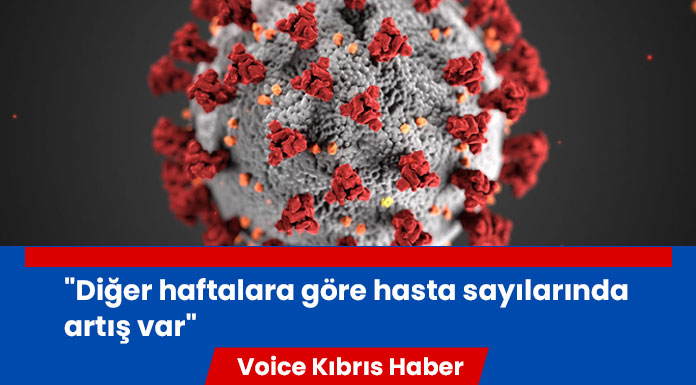 Güneyde 60 kişi koronavirüs tedavisi görüyor