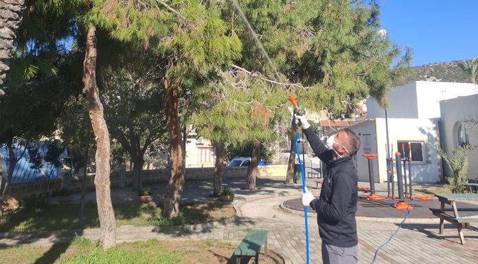 Mehmetçik'te çam kese böceğine karşı mücadele devam ediyor